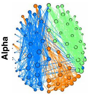 Alpha wave networks