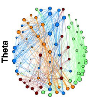 Theta wave networks