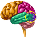 Thumbnail for version as of 21:12, 7 January 2025