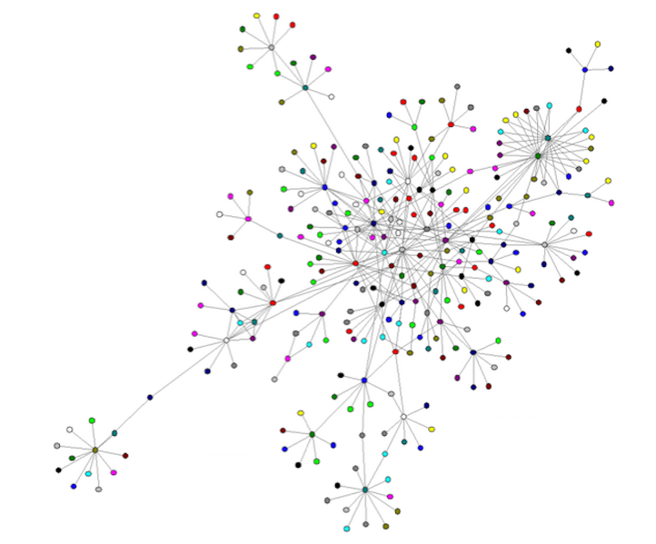File:Networks.png