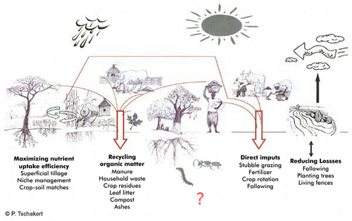 An incomplete mental model of soil management strategies