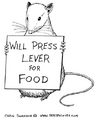 Thumbnail for version as of 21:24, 7 January 2025