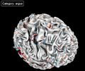 Thumbnail for version as of 20:49, 7 January 2025