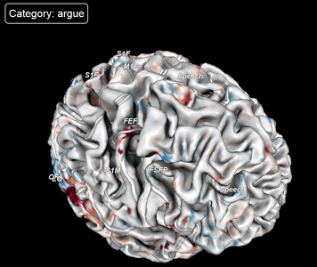 Neural activity while viewing the word argue