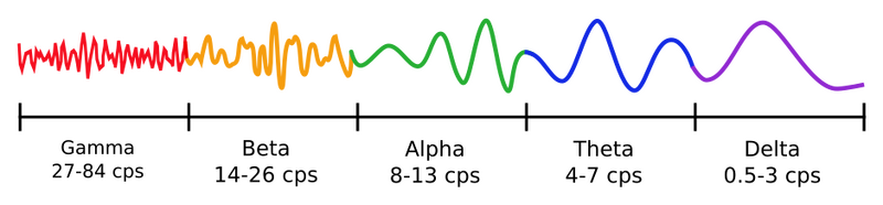 File:Brainwaves.png