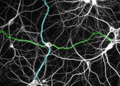 Thumbnail for version as of 20:48, 7 January 2025
