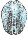 Thumbnail for version as of 20:47, 7 January 2025