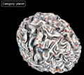 Thumbnail for version as of 20:48, 7 January 2025