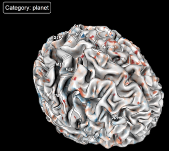 Neural activity while viewing a photo of a planet